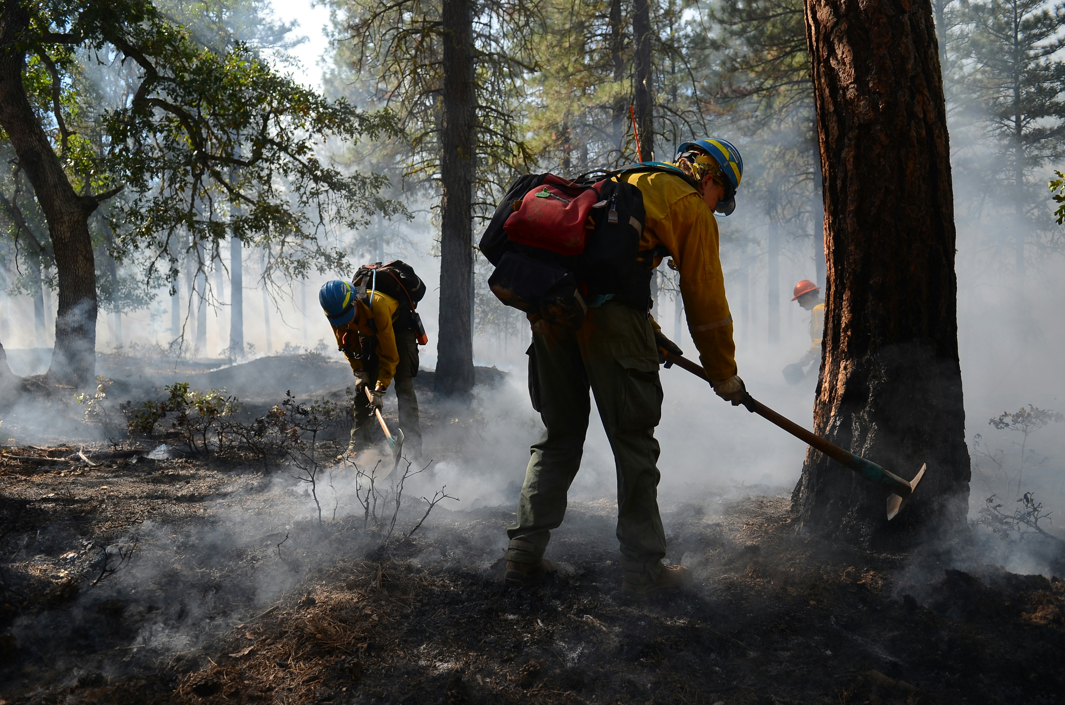 Firefighting and Prevention - Wildland Fire