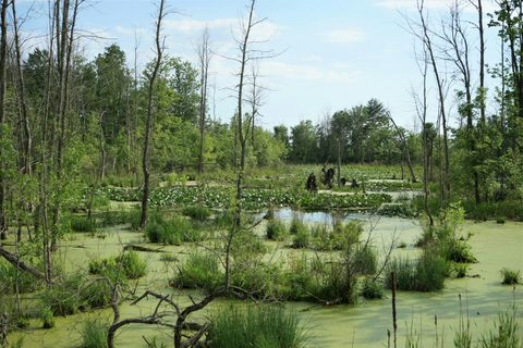 Landscape Restoration and Management